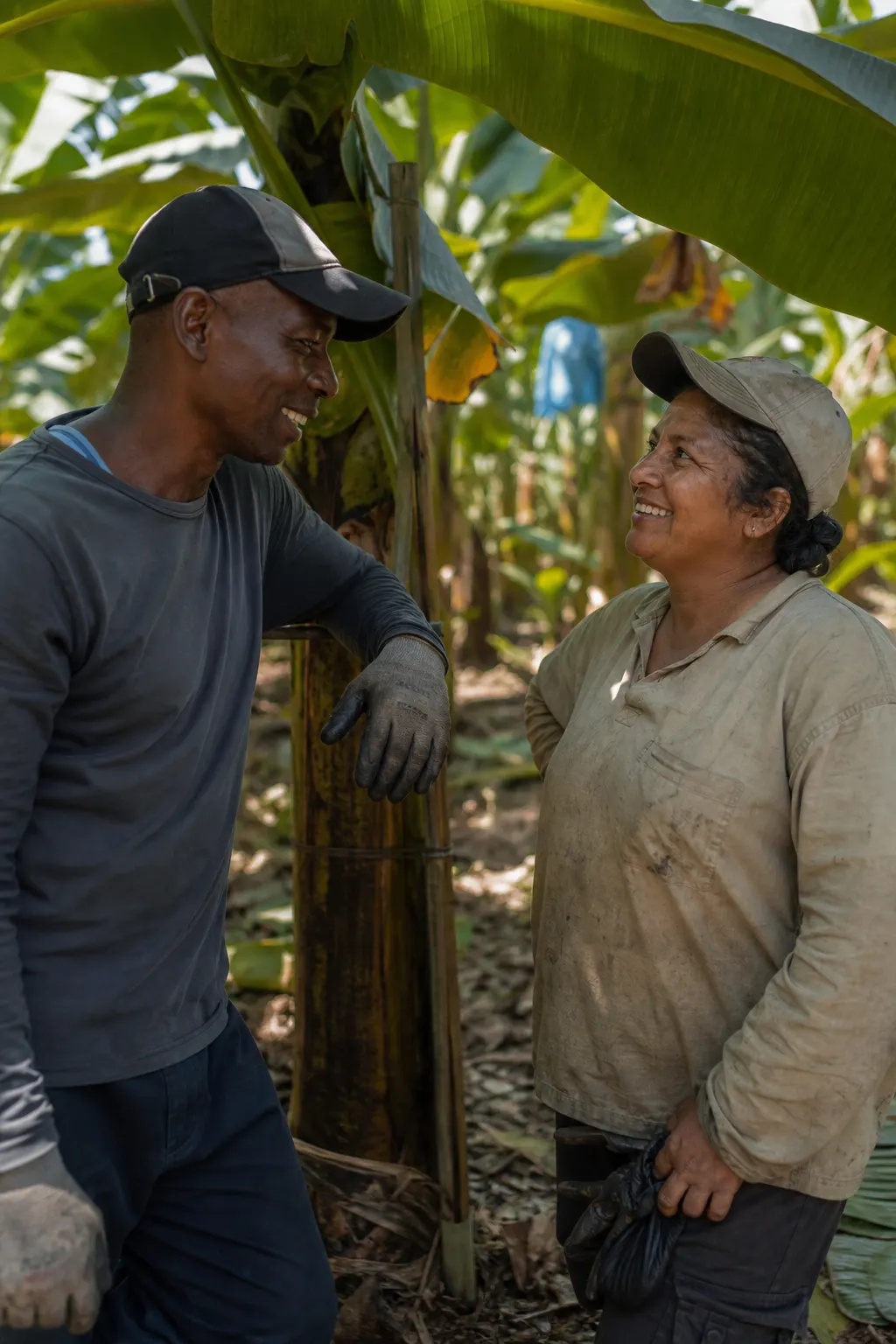 Trabajadores del campo conversando bajo hojas de banano en Urabá